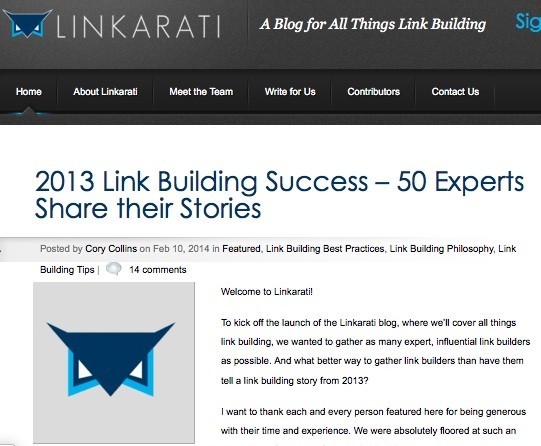 Link Building Success 2013