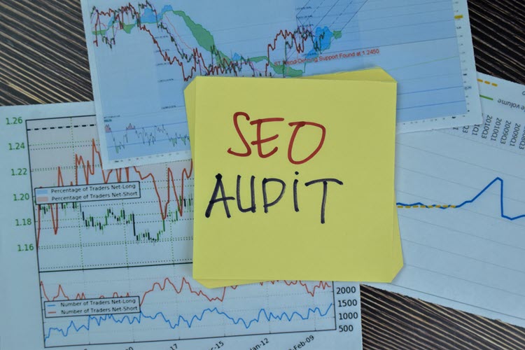 get your free seo audit